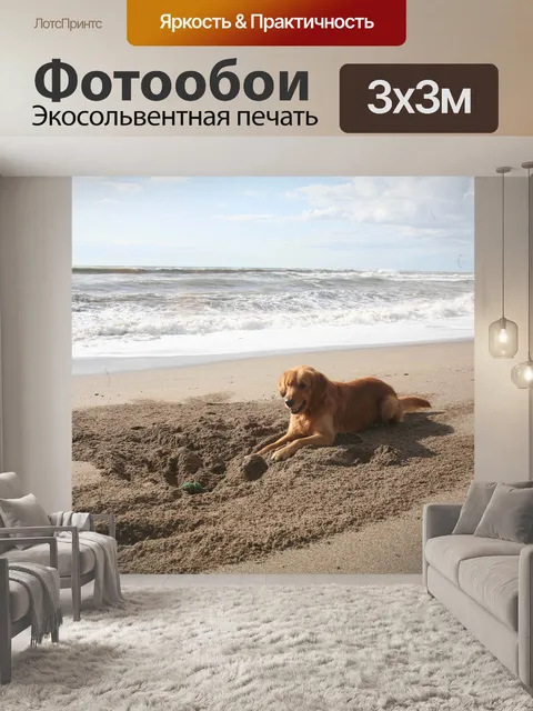 Фотообои Собака