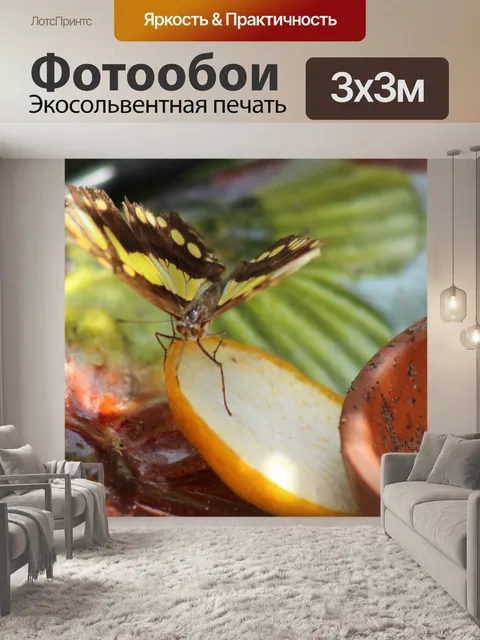 Фотообои Бабочка