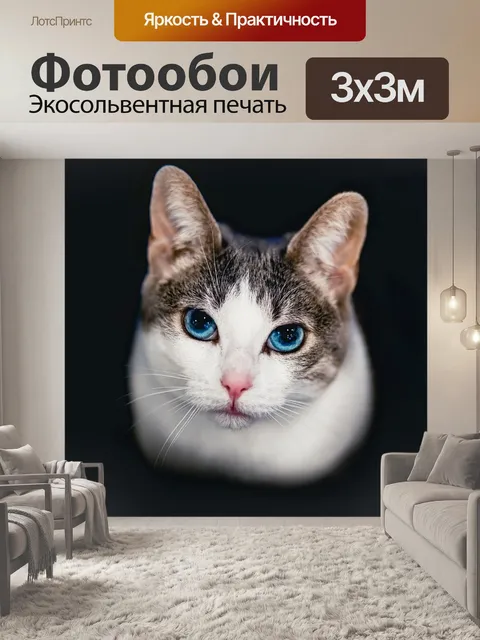 Фотообои Кошка