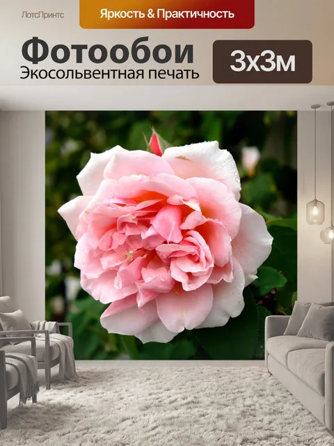 Фотообои Розовый