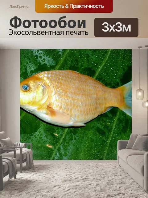 Фотообои Корм для пресноводных рыб