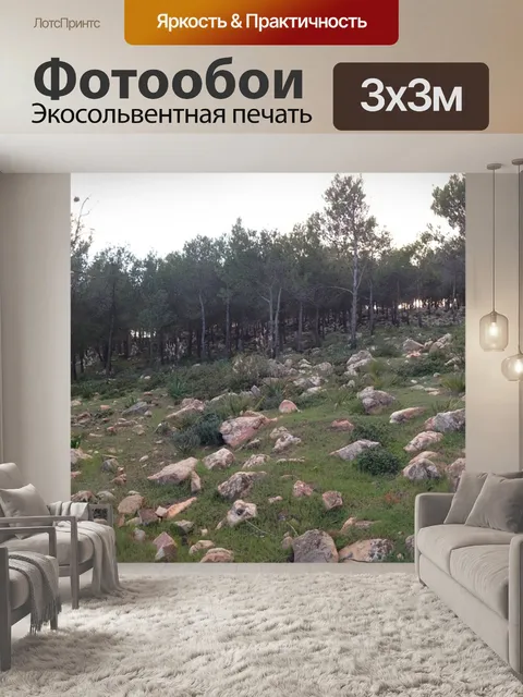 Фотообои Каменный лес