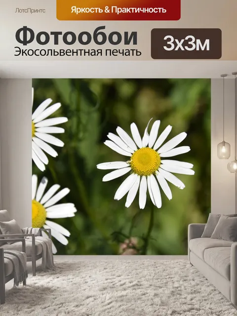 Фотообои Цветок