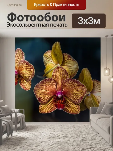 Фотообои Цветы