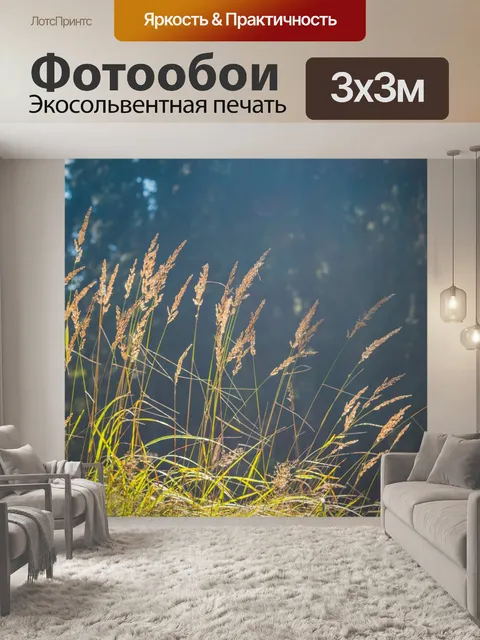 Фотообои Стебли
