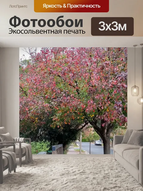 Фотообои Осенние листья