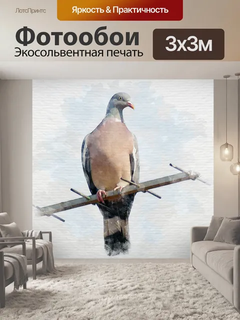 Фотообои Птица