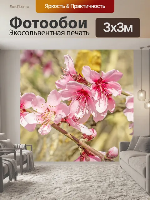 Фотообои Цветы