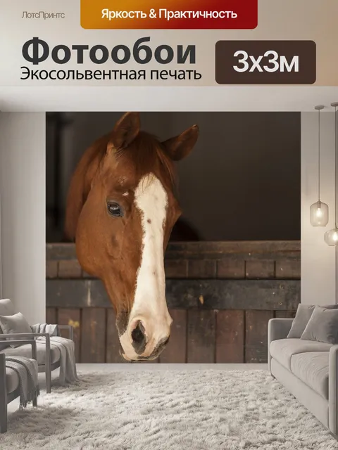 Фотообои Лошадь