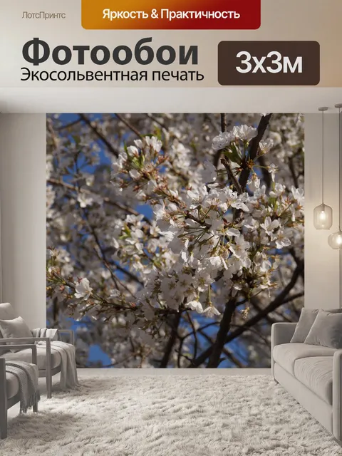 Фотообои Цветы