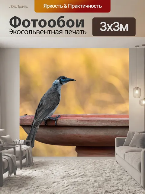 Фотообои Птицы