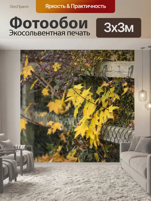 Фотообои осень