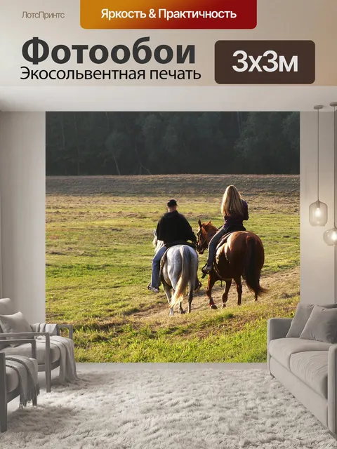 Фотообои Лошади