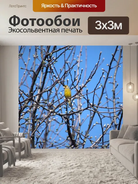 Фотообои Птица
