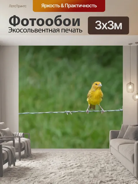 Фотообои Птицы