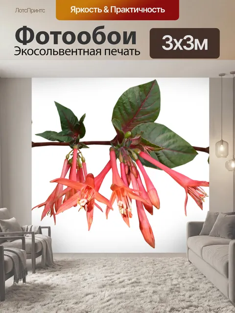 Фотообои Фуксия