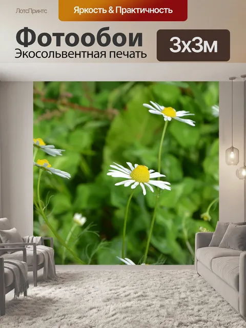 Фотообои Цветы