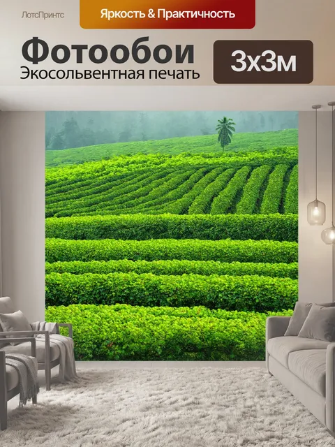 Фотообои туман в стиле раскраска, чайные плантации, затянутые утренним туманом, яркие листья и аккуратные грядки