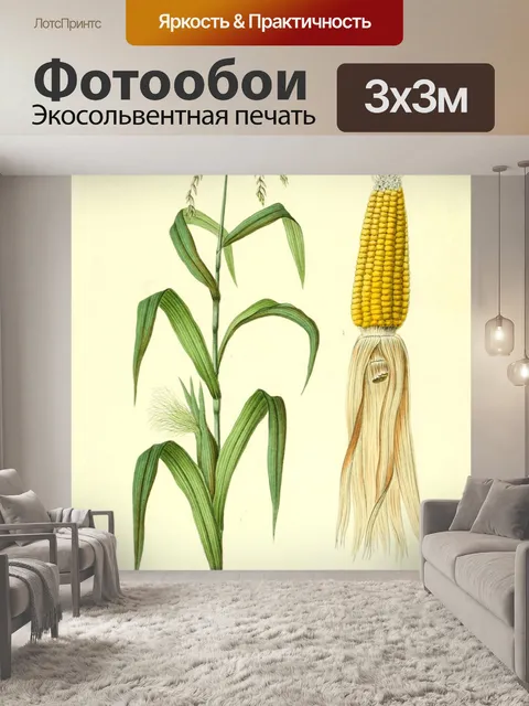 Фотообои Винтажная овощная кукуруза