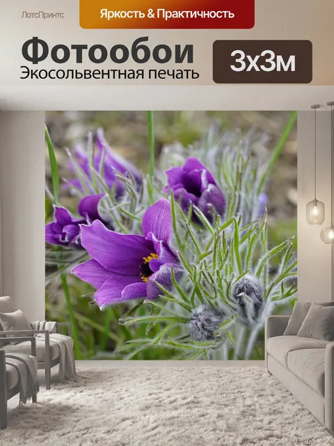 Фотообои Цветы