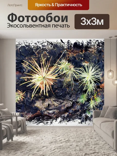 Фотообои Ростки сосны