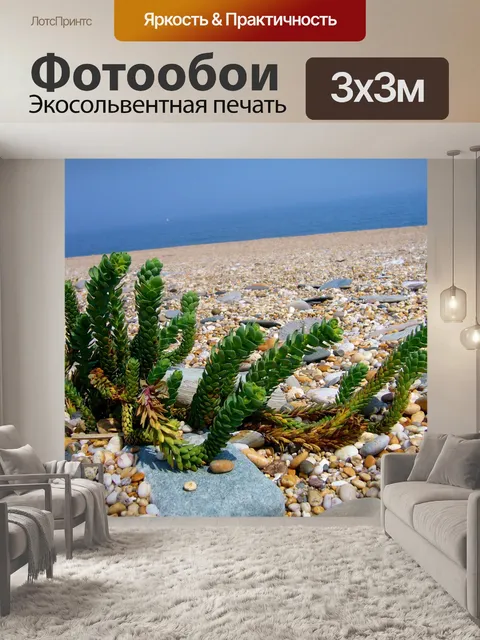 Фотообои Приморский