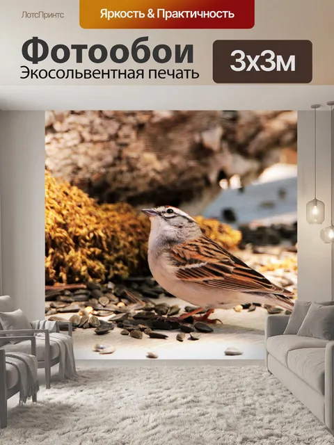 Фотообои Чиппинг воробей на таблице 2