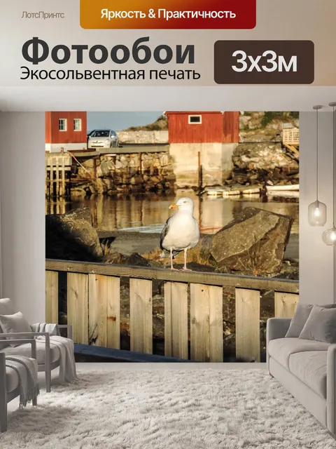 Фотообои Птица
