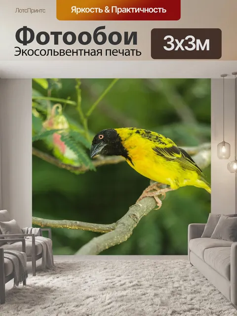 Фотообои Птица
