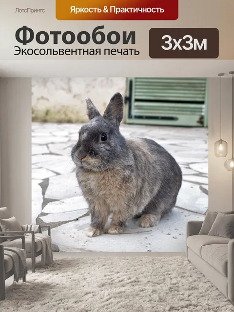 Фотообои Кролик