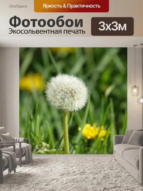 Фотообои Одуванчик