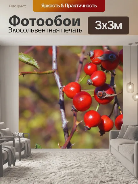 Фотообои Фрукты