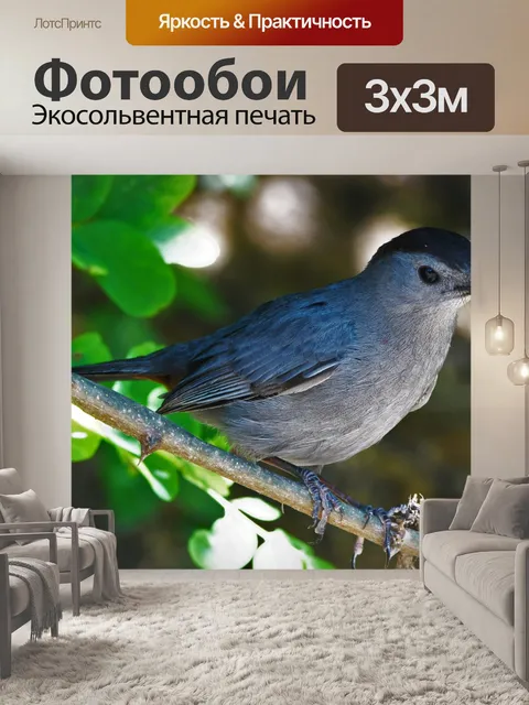 Фотообои Птица