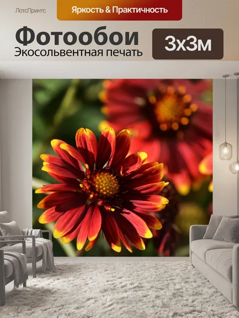 Фотообои Цветы