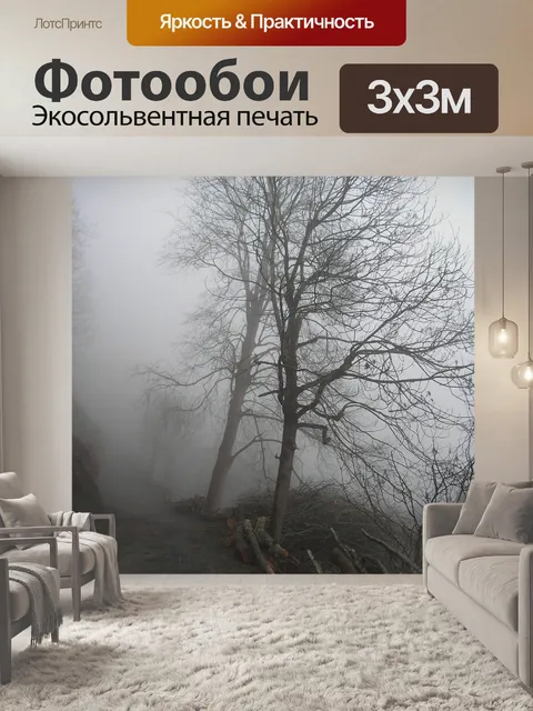 Фотообои Туман