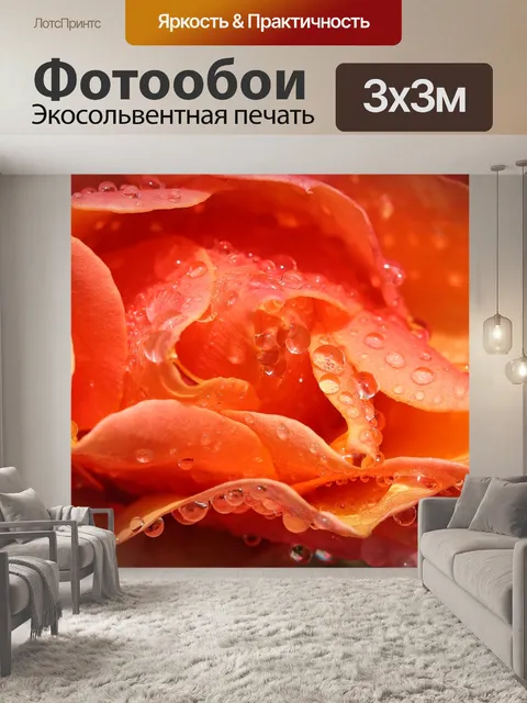 Фотообои Роза