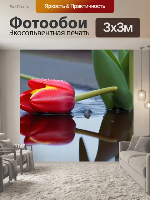 Фотообои фотореалистичное изображение тюльпанов в луже