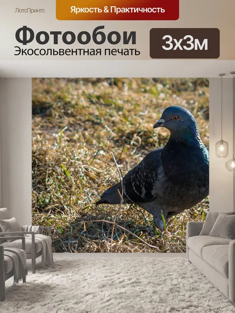 Фотообои Птица
