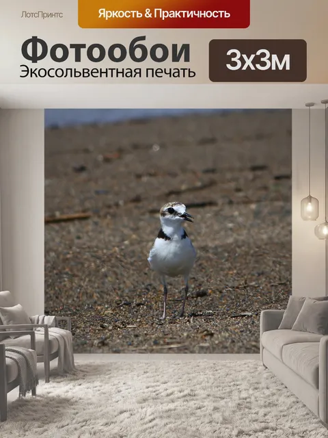 Фотообои Животное