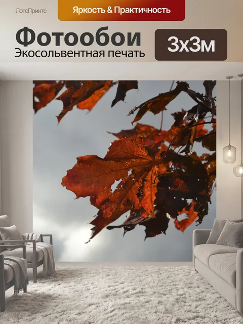 Фотообои листья клёна