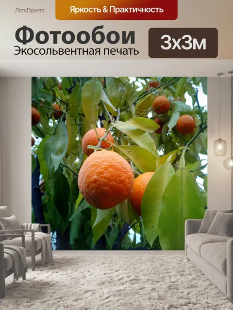 Фотообои Апельсины