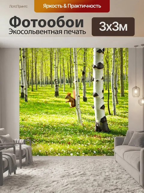 Фотообои весна в березовом лесу