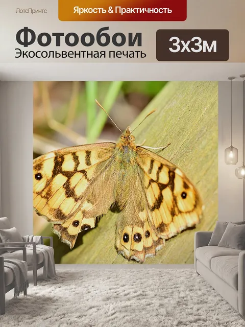 Фотообои Природа