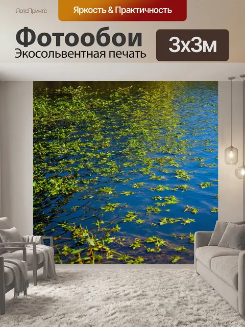 Фотообои озеро, отражающее разные этапы жизни и роста
