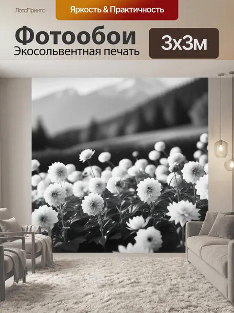 Фотообои пейзаж с георгинами чернобелый