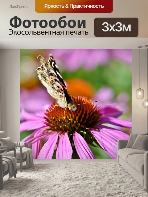 Фотообои Бабочка