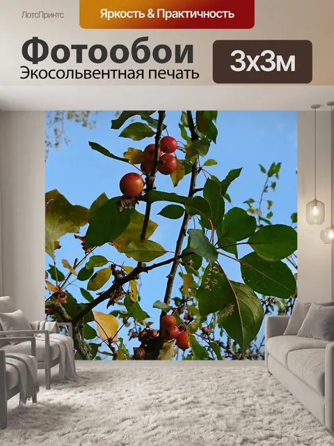 Фотообои Декоративный