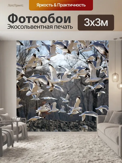 Фотообои Птицы