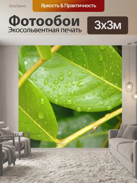 Фотообои Листья