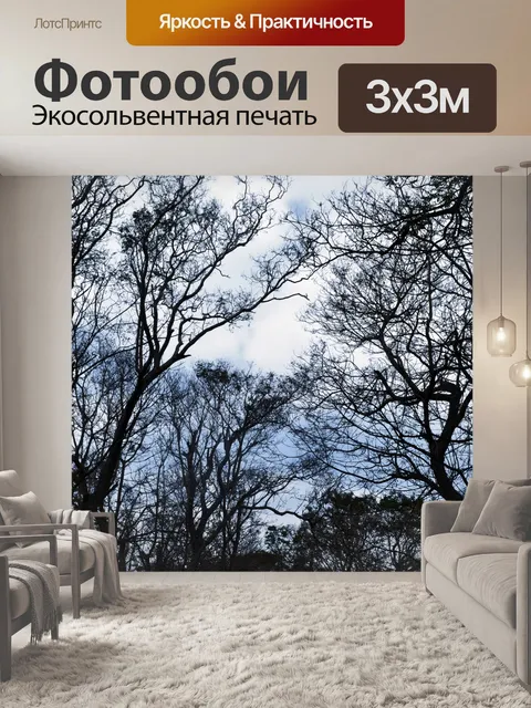 Фотообои Treescape 01
